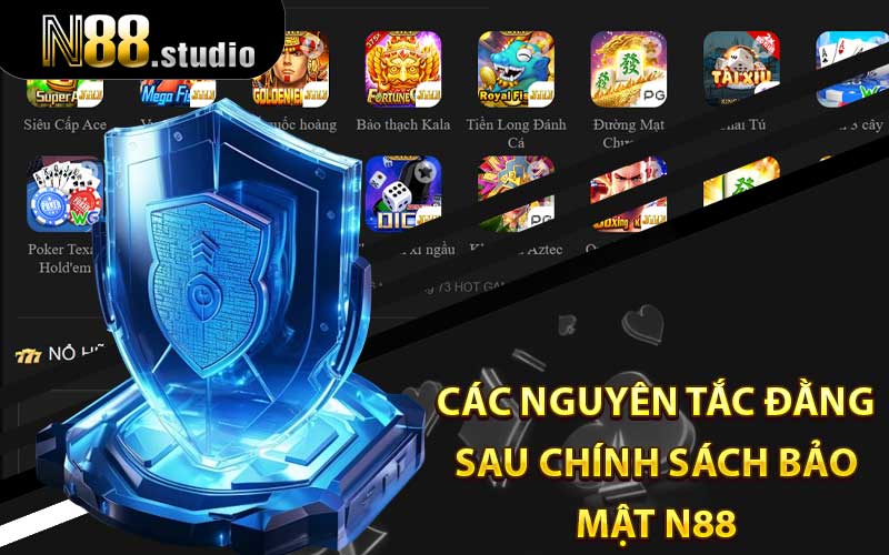 Các nguyên tắc đằng sau chính sách bảo mật N88